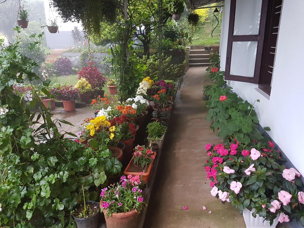 Rheinberg Town Haus Hotel Munnar Ngoại thất bức ảnh